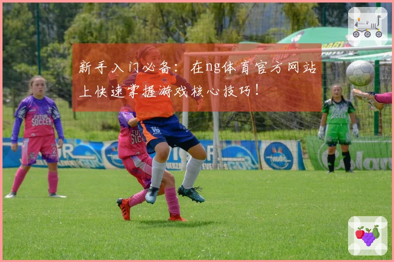 新手入门必备：在ng体育官方网站上快速掌握游戏核心技巧！